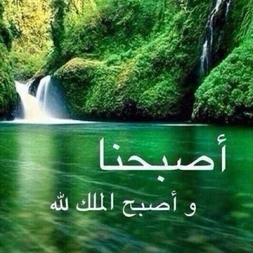 rawhym1950's profile picture. 