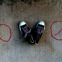 ♥ ✗ Volg ons voor lieve en leuke tweets ✗ ♥