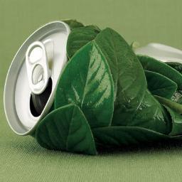 Promocion y defensa del medio ambiente. VIVE SUSTENTABLE VIVE ECO