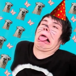 fangirling, shipping, tweeting, eating, doctor who, sherlock, the vampire diaries, youtubers, arctic monkeys.