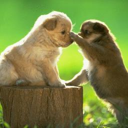 CandeMarcela's profile picture. me gusta mucho  el aeromodelismo y me encantan los distintos eventos del mismo