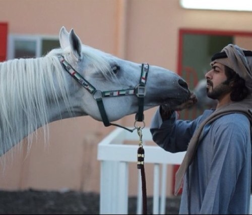 حشيمً مآتخرطفَ بـالعتآبِي ، رفيعَ الشآن ۉاهله يحشمونة ♡ Just follow me & mention for follow back ❤ Senior'14