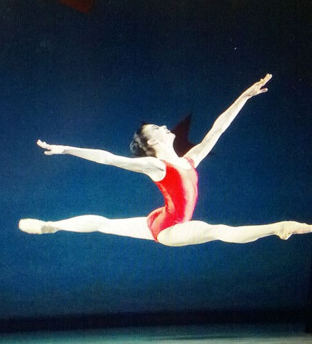 BallerinaDee's profile picture. 