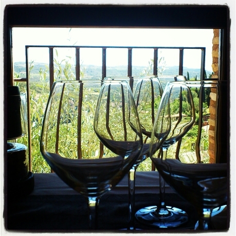 Passion for our olive oils, wines & other amazing products in Somontano