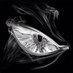 RAIED (@raieder) Twitter profile photo RAIED (@raieder) Twitter profile photo