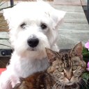 james single - @jamess19gle - Twitter