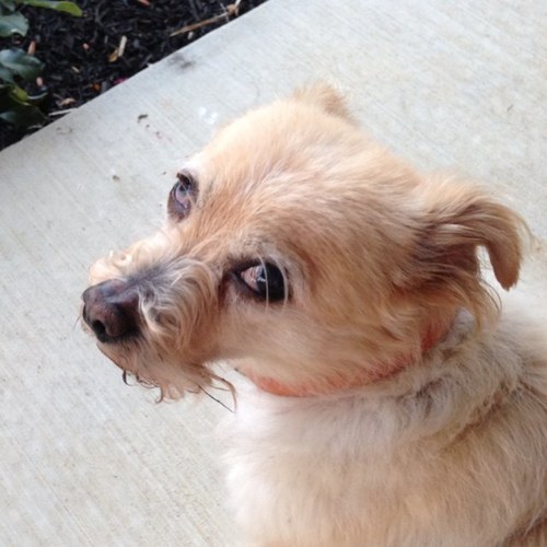 jmej710's profile picture. 