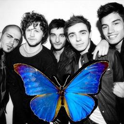 We are butterflies, we were meant to fly.