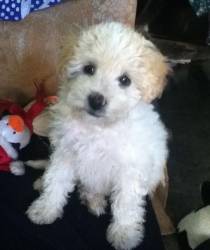 Vonniencinfe's profile picture. 