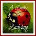 A Lucky Ladybug (@aluckyladybug) Twitter profile photo A Lucky Ladybug (@aluckyladybug) Twitter profile photo