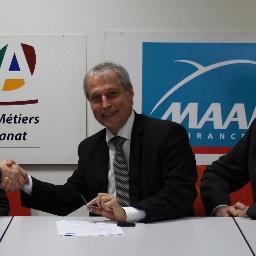Directeur régional réseau professionnel REGION EST de MAAF Assurances