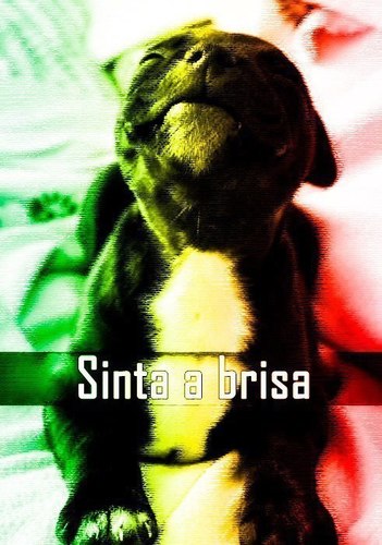 Pensa Bem , Observe Bem , Faça o Bem !!!