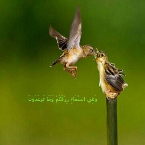 ‏‏‏هنا اطرح مايروق لي وان شاءالله ان يكون خير لي ولكم                       الخاص مهمل