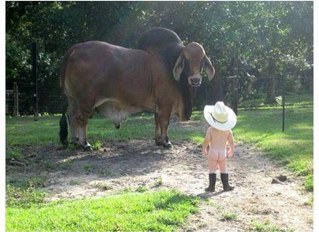 Bill_Byrne's profile picture. Retired Director of Athletics - Texas A&M University