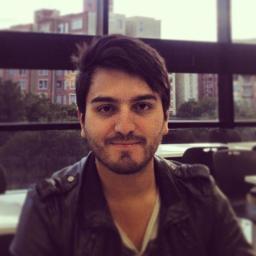 Software developer