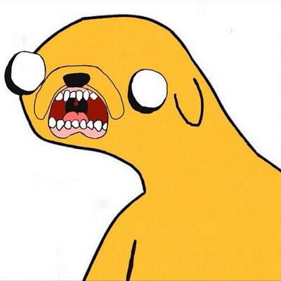 yeik le perro xd