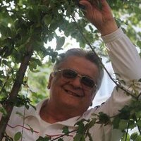 halil meric (@mericc61) 's Twitter Profile