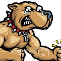 TheReddog