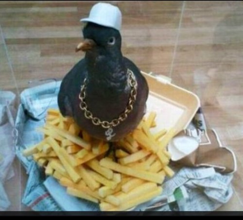 Boobear_ls_Mine's profile picture. Cute as a button, every single one of you