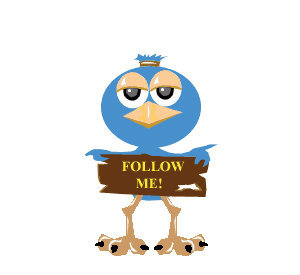 Message me for a shout out!
