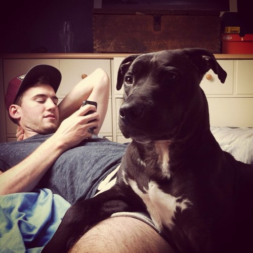 D_Romer91 Profile Picture