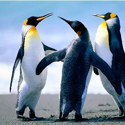 elconsentidowil's profile picture. 