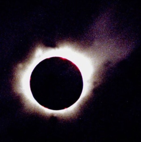 grakill's profile picture. Todos llevamos mascara