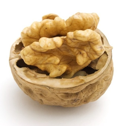 Parshanüt for parsha nuts.