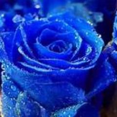 hi everyone i dont really go on twitter alot but here R some websites ( Fanfiction ) ( Tumbler ) ( Youtube ) ( Minecraft ) and Fantage my username demilovoto83