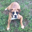 Stuart Drew - @StuartDrew1 - Twitter