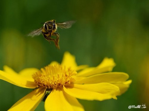 00bohamdan's profile picture. 