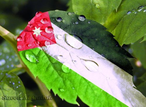 073311's profile picture. اردني عايش بشمال السعوديه مواليد 1996م - الحساب جديد ارجو الدعم