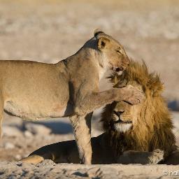 bozena_z's profile picture. 