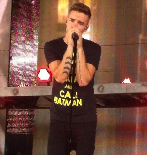 niallouisome's profile picture. If i followed you its bc you either follow @lirryships or @liam_loving i love you ok?