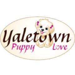 Tanya & Mila (Owner | Pack Leader) Vancouver•Yaletown 🐕 Providing Small Doggie Walks, Puppy Care, Daycare, In-Home Visits, Vacation & Overnight Sitting 💗