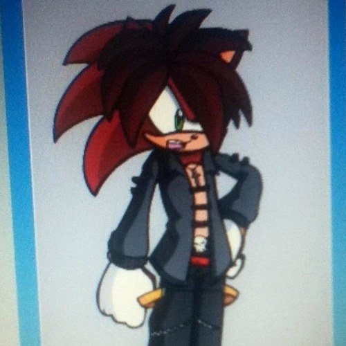 Hey Im Caleb The Hedgehog im the leader of Team Forgotten Elemental with X Green and Fire im #single