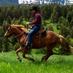 Bridger Livestock (@44bridger) Twitter profile photo Bridger Livestock (@44bridger) Twitter profile photo