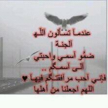طالبه  ..اعشق  التفكير والصمت  يستهؤيني  الهدوء  ..وماتوفيقي  الا بالله  عليه  توكلت  وإليه انيب.. اسأل الله  الاخلاص  فيمااكتب **السعوديه