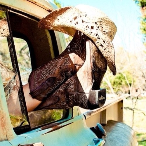 Mericanbellee's profile picture. Just your average Independent, Pro-life, Marriage Equality believing, Quaker teen! #LetFreedomRing