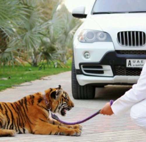 لآ خلينا من محبتكم فضمير ﺂلقلب ميرآكم ♥