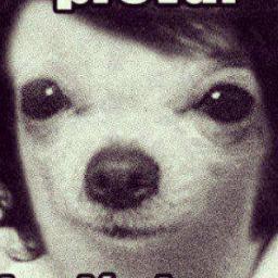 andrade_g7's profile picture. Rlx,eu conheço o Maicão