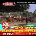 mukesh (@11patelmukesh) Twitter