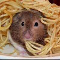 happysees (@happysees) 's Twitter Profile