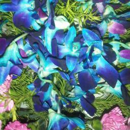 Packaging / Printing / Plastics / PVC / Surface Protection Expert