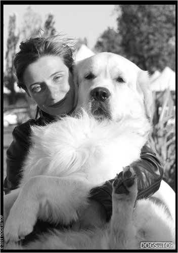 dogs, art, music, travels, sports, that's all folks!