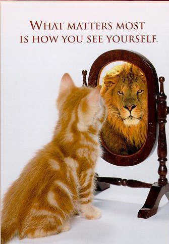 this is for funny cat pic.....
