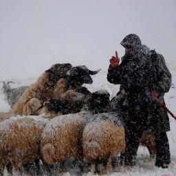 kokturkmert's profile picture. 