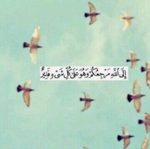 لأجل حبيبتي منى اللهم يا رب اجعل السعادة في حياتها دائمةً ، وضعت لك هذا الحساب لأني اريد ان نبقى معاً في الجنه.