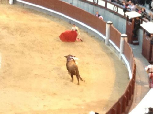 desde 2003 aficionado a los toros y al barça y a la apu