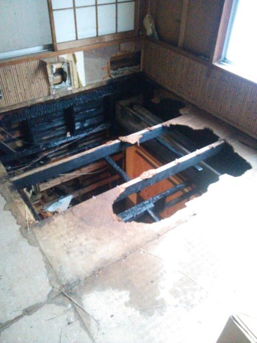 BentoUmaika's profile picture. 